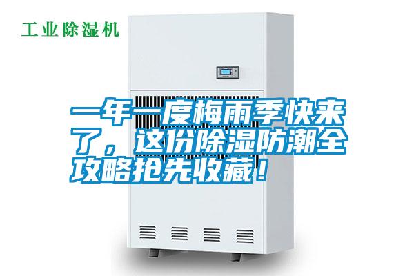 一年一度梅雨季快來了，這份除濕防潮全攻略搶先收藏！