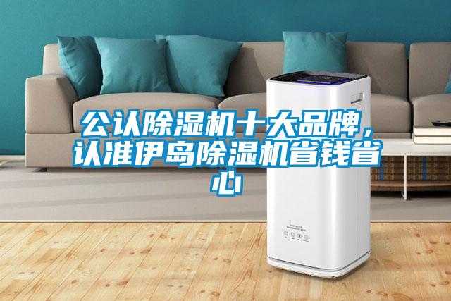 公認除濕機十大品牌,認準伊島除濕機省錢省心