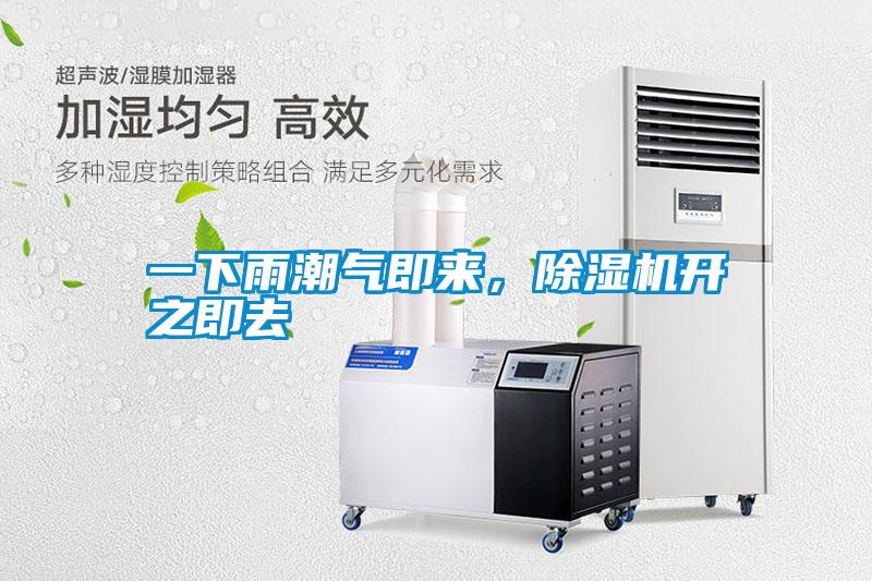 一下雨潮氣即來,除濕機開之即去