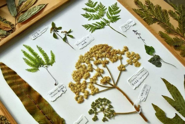 1569315606389961.jpg 圖片1.jpg