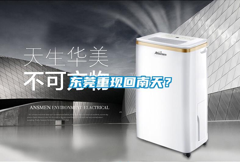 東莞重現回南天？