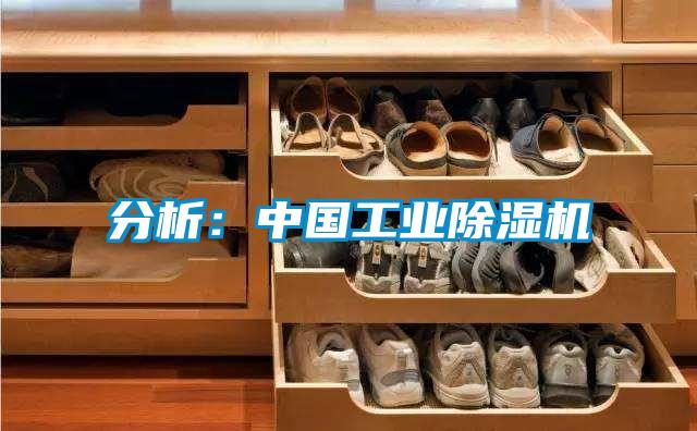 分析:中國(guó)工業(yè)除濕機(jī)