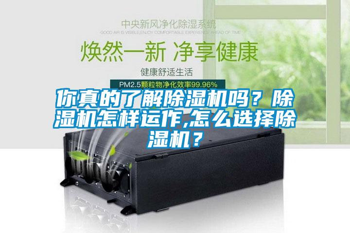 你真的了解除濕機嗎？除濕機怎樣運作,怎么選擇除濕機？