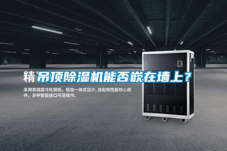 吊頂除濕機能否嵌在墻上？