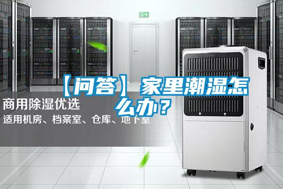 【問答】家里潮濕怎么辦？