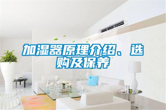 加濕器原理介紹、選購(gòu)及保養(yǎng)