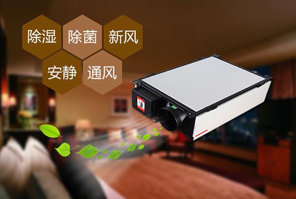 制作花紙的車間倉庫,用工業(yè)除濕機(jī)顯得尤為重要