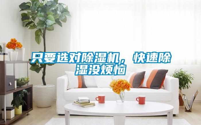 只要選對除濕機,快速除濕沒煩惱
