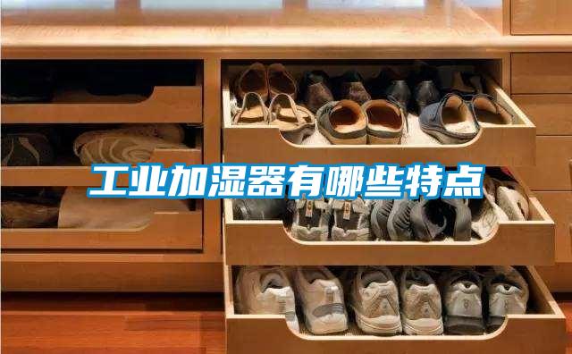 工業(yè)加濕器有哪些特點