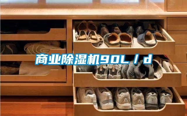 商業(yè)除濕機(jī)90L/d