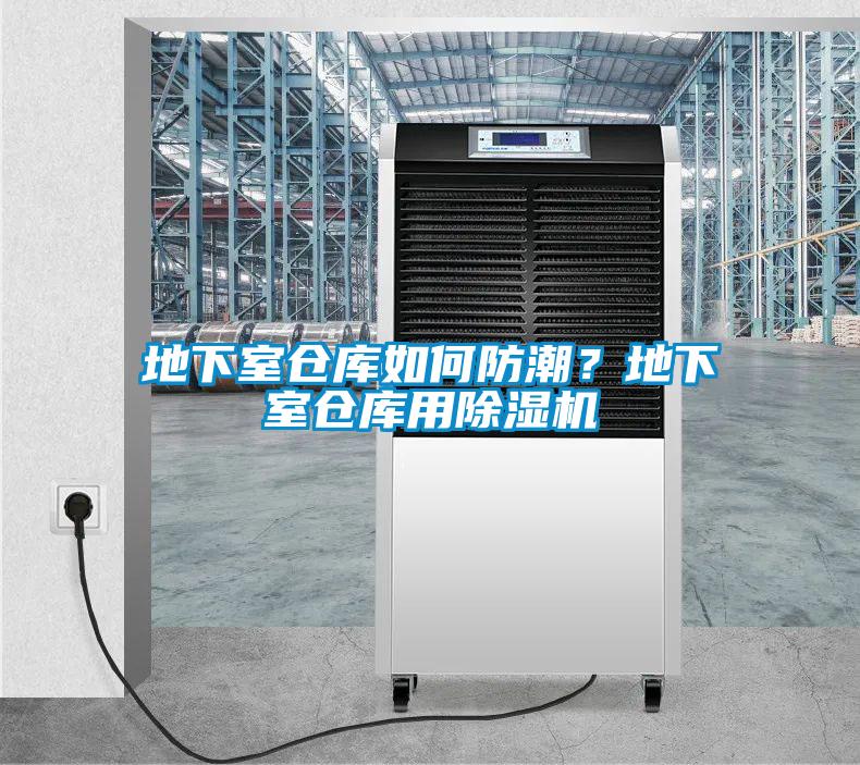 地下室倉庫如何防潮?地下室倉庫用除濕機(jī)