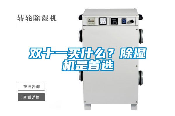 雙十一買什么？除濕機是首選