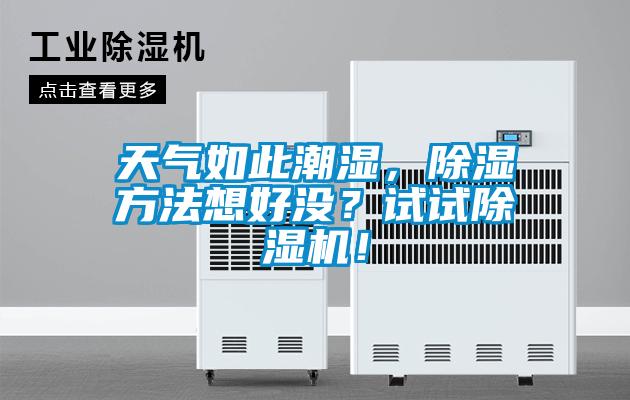 天氣如此潮濕,除濕方法想好沒(méi)?試試除濕機(jī)!