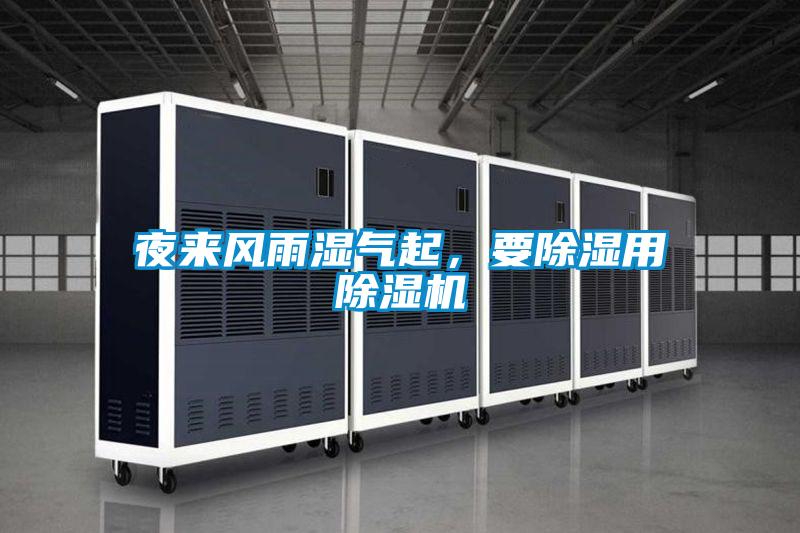 夜來風(fēng)雨濕氣起,要除濕用除濕機(jī)