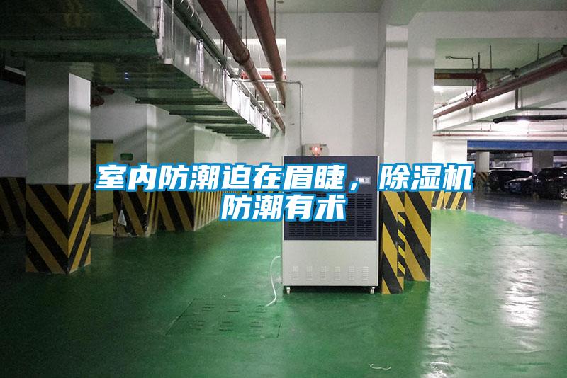 室內防潮迫在眉睫，除濕機防潮有術