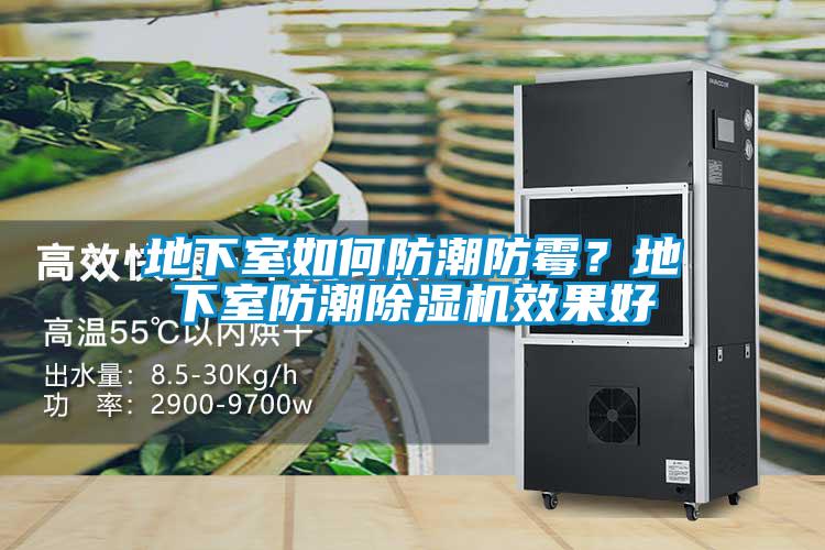 地下室如何防潮防霉？地下室防潮除濕機效果好