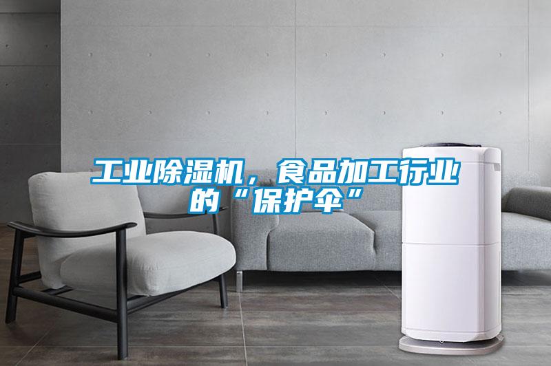 工業(yè)除濕機(jī),食品加工行業(yè)的“保護(hù)傘”