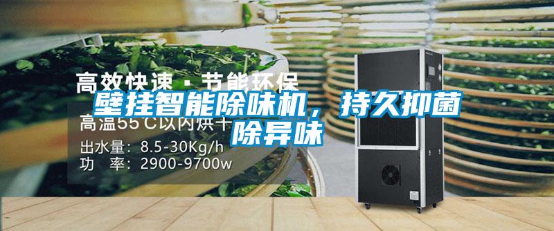 壁掛智能除味機,持久抑菌除異味