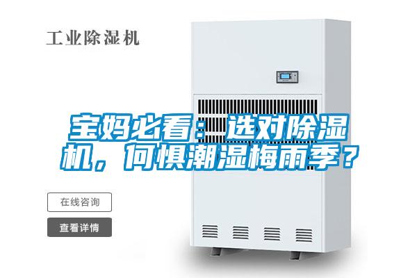 寶媽必看:選對(duì)除濕機(jī),何懼潮濕梅雨季?