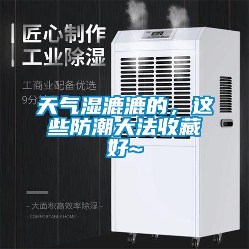 天氣濕漉漉的，這些防潮大法收藏好~