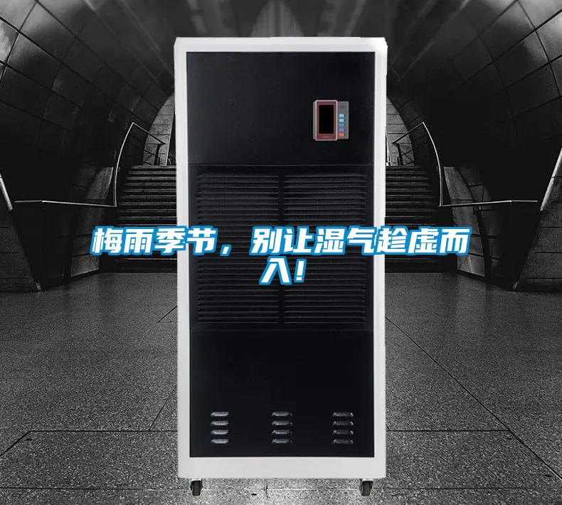 梅雨季節，別讓濕氣趁虛而入！