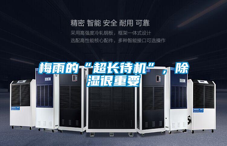 梅雨的“超長待機(jī)”，除濕很重要