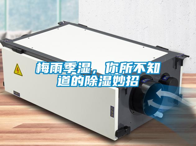 梅雨季濕，你所不知道的除濕妙招