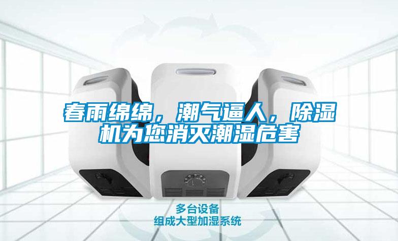 春雨綿綿,潮氣逼人,除濕機為您消滅潮濕危害