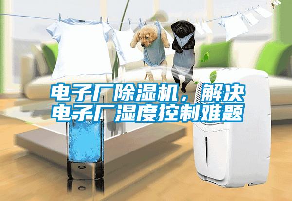 電子廠除濕機(jī),解決電子廠濕度控制難題