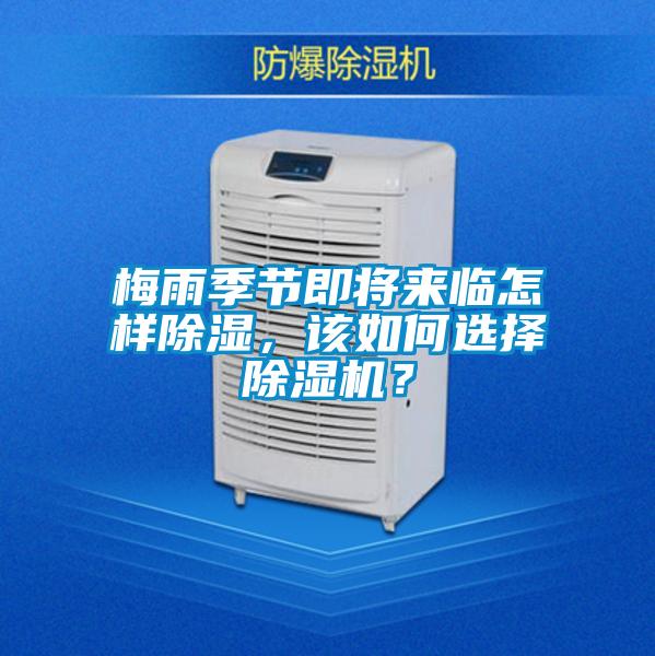 梅雨季節即將來臨怎樣除濕，該如何選擇除濕機？