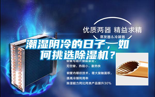 潮濕陰冷的日子，如何挑選除濕機(jī)？
