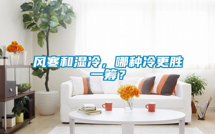 風寒和濕冷,哪種冷更勝一籌?