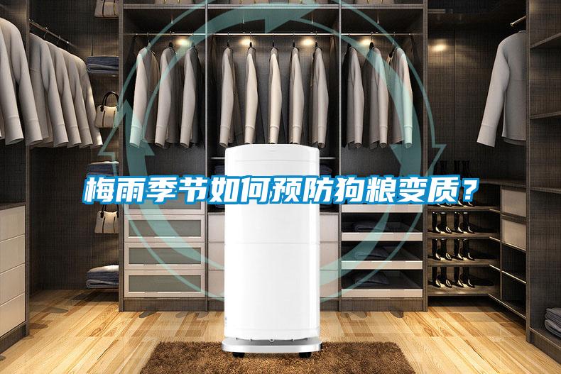 梅雨季節如何預防狗糧變質？