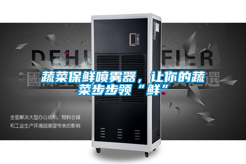 蔬菜保鮮噴霧器,讓你的蔬菜步步領(lǐng)“鮮”