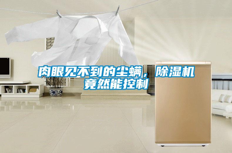 肉眼見不到的塵螨，除濕機竟然能控制