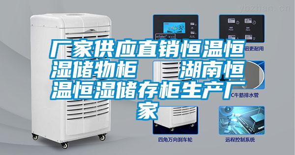 廠家供應直銷恒溫恒濕儲物柜 湖南恒溫恒濕儲存柜生產廠家