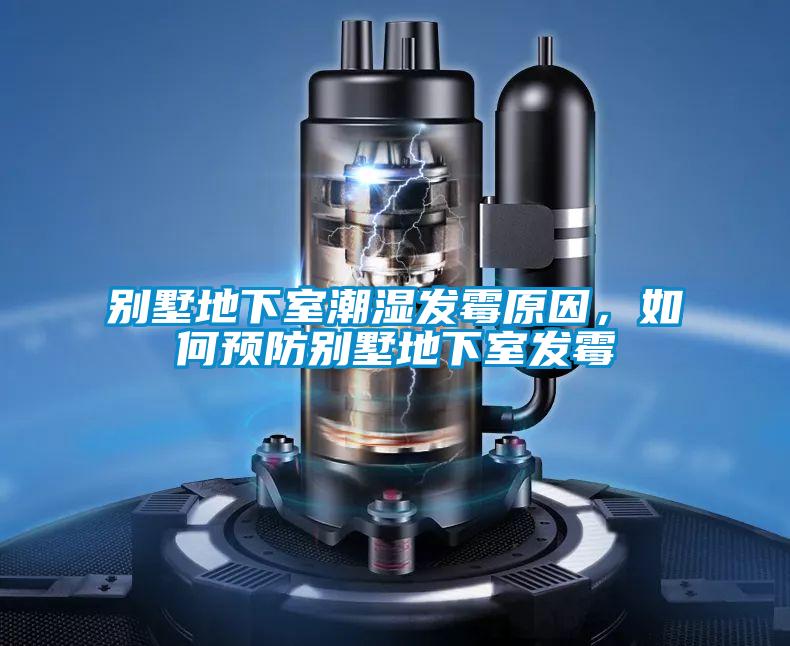 別墅地下室潮濕發霉原因，如何預防別墅地下室發霉