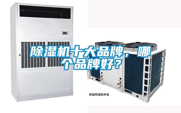 除濕機十大品牌，哪個品牌好？