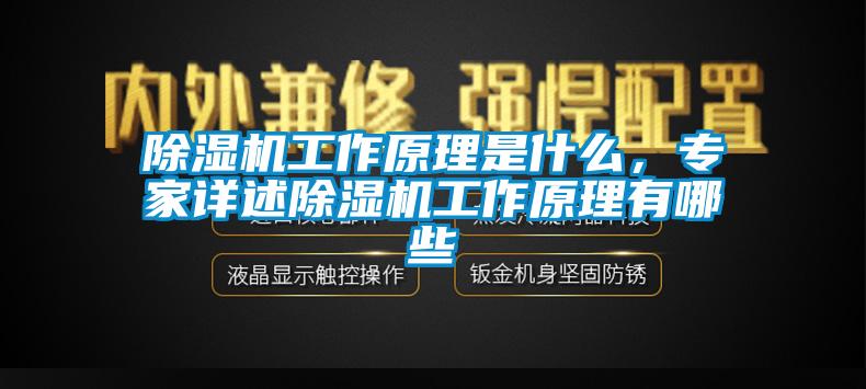 除濕機工作原理是什么,專家詳述除濕機工作原理有哪些