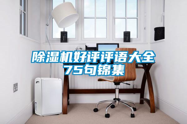 除濕機(jī)好評(píng)評(píng)語大全75句錦集