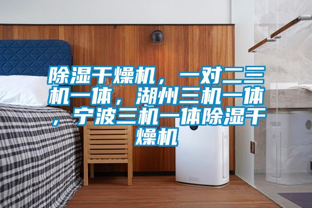除濕干燥機，一對二三機一體，湖州三機一體，寧波三機一體除濕干燥機