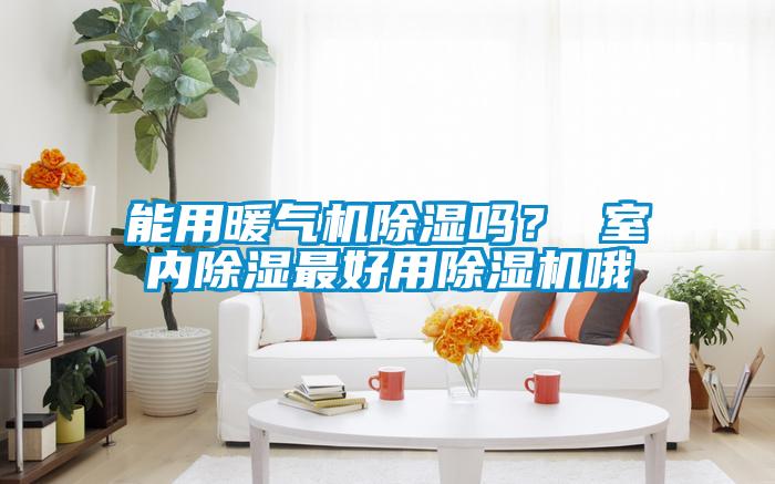 能用暖氣機除濕嗎? 室內除濕最好用除濕機哦
