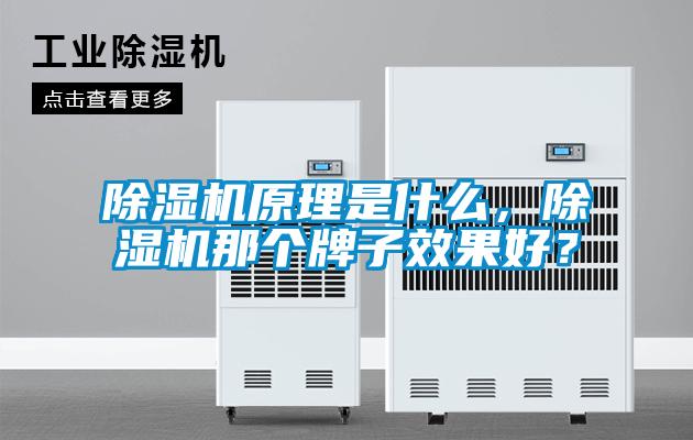 除濕機(jī)原理是什么，除濕機(jī)那個(gè)牌子效果好？