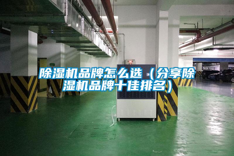 除濕機(jī)品牌怎么選(分享除濕機(jī)品牌十佳排名)