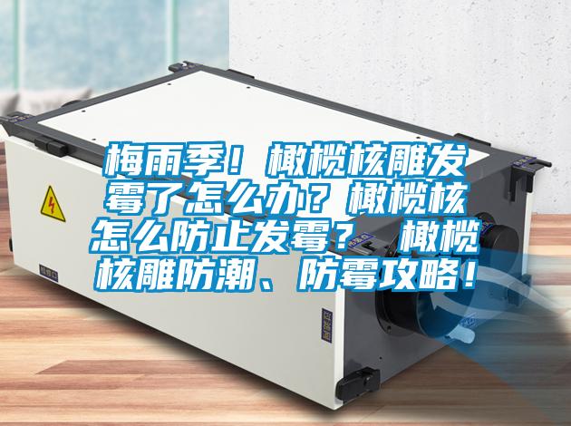 梅雨季！橄欖核雕發霉了怎么辦？橄欖核怎么防止發霉？ 橄欖核雕防潮、防霉攻略！