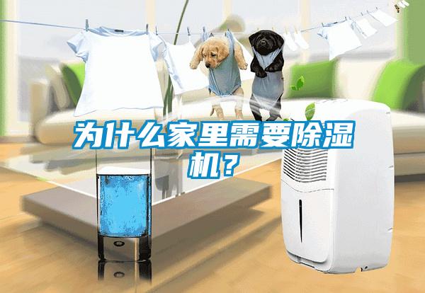 為什么家里需要除濕機(jī)?