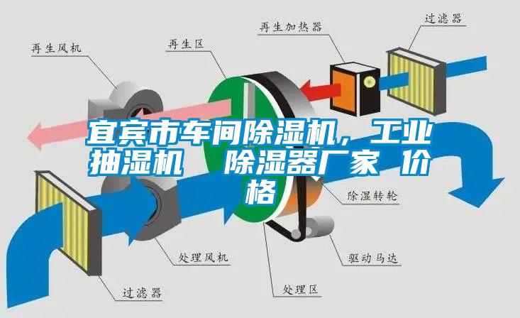 宜賓市車間除濕機(jī),工業(yè)抽濕機(jī) 除濕器廠家 價(jià)格