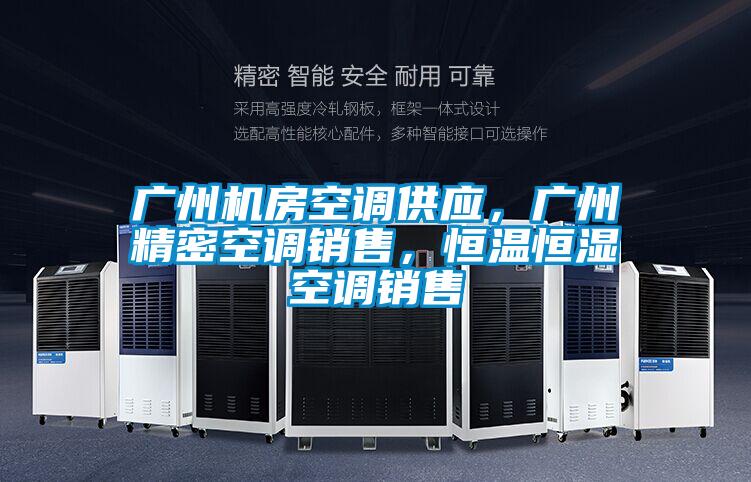 廣州機房空調(diào)供應(yīng),廣州精密空調(diào)銷售,恒溫恒濕空調(diào)銷售