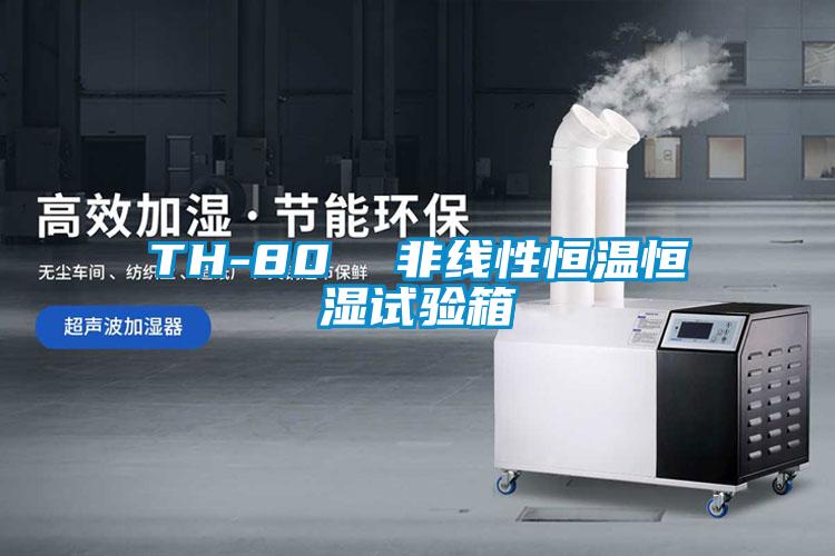 TH-80 非線性恒溫恒濕試驗(yàn)箱