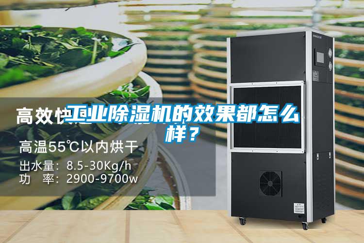 工業除濕機的效果都怎么樣？